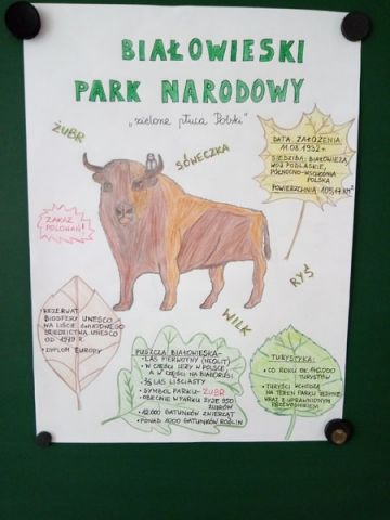 Parki narodowe w Polsce