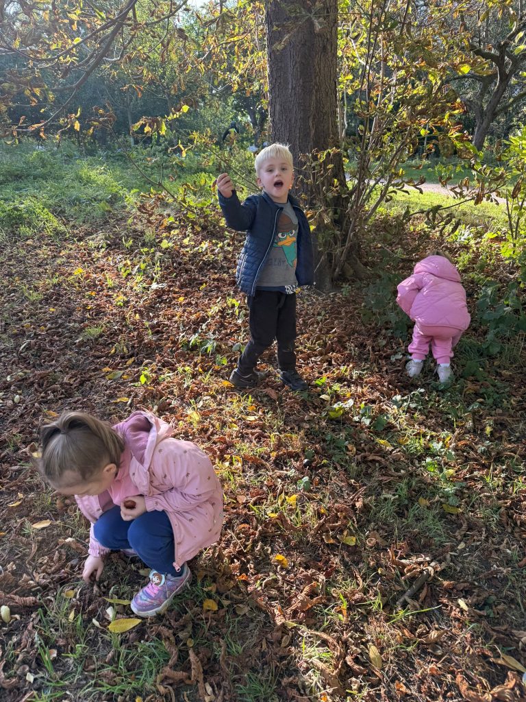 Jesienne zbieranie kasztanów